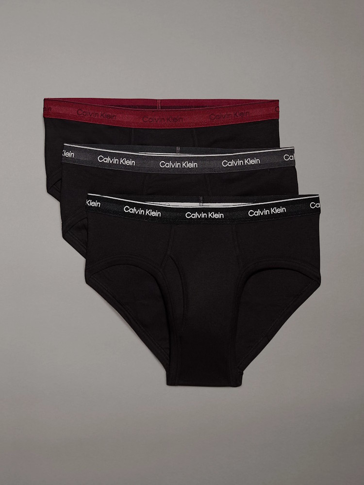 Calvin Klein Fly Hip Brief 3 Pack 000nb3998a Pru Syrah 6