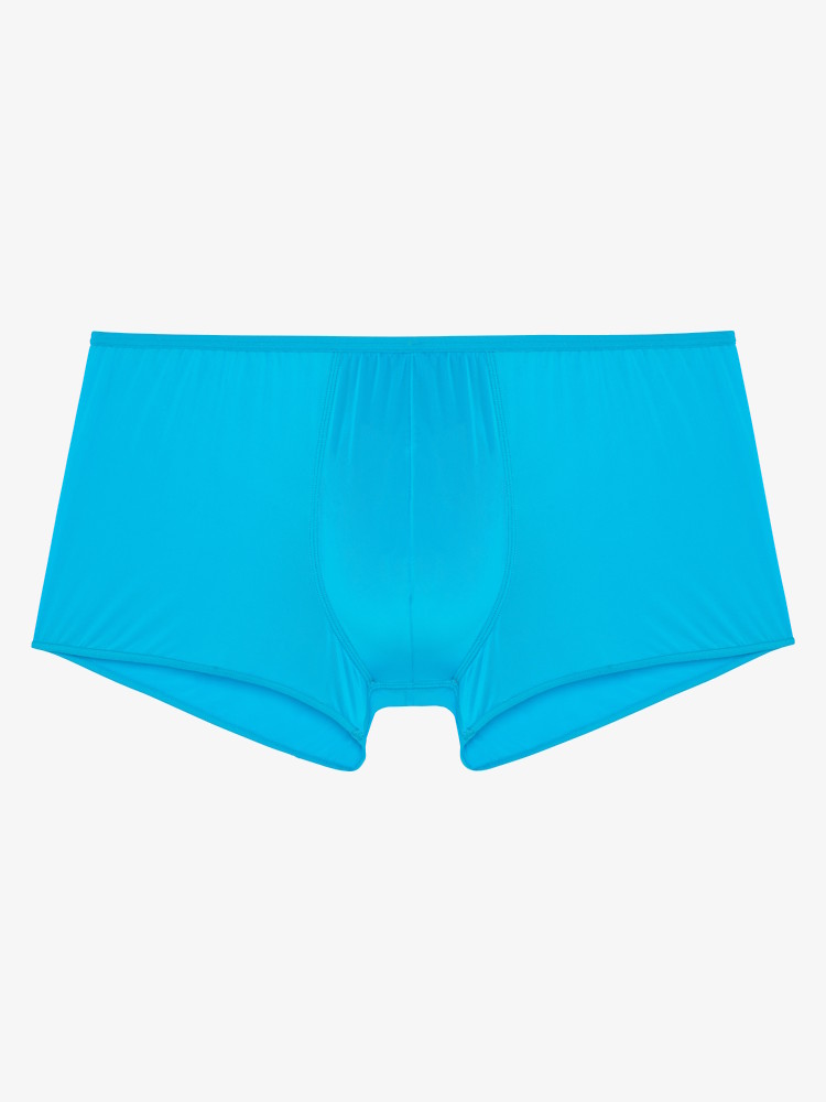 Hom Plumes Trunk Turquoise 404755 4