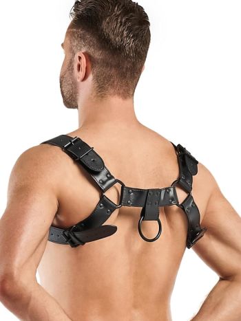 Bedroom Fantasies Bruno Chest Bulldog Harness Black 2